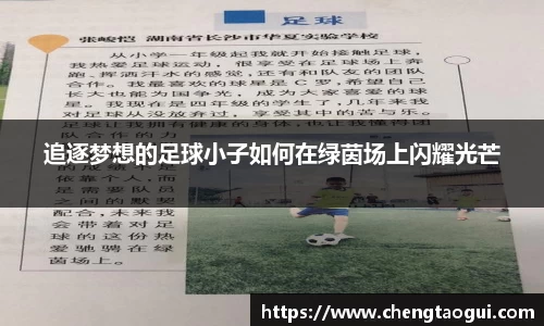 追逐梦想的足球小子如何在绿茵场上闪耀光芒